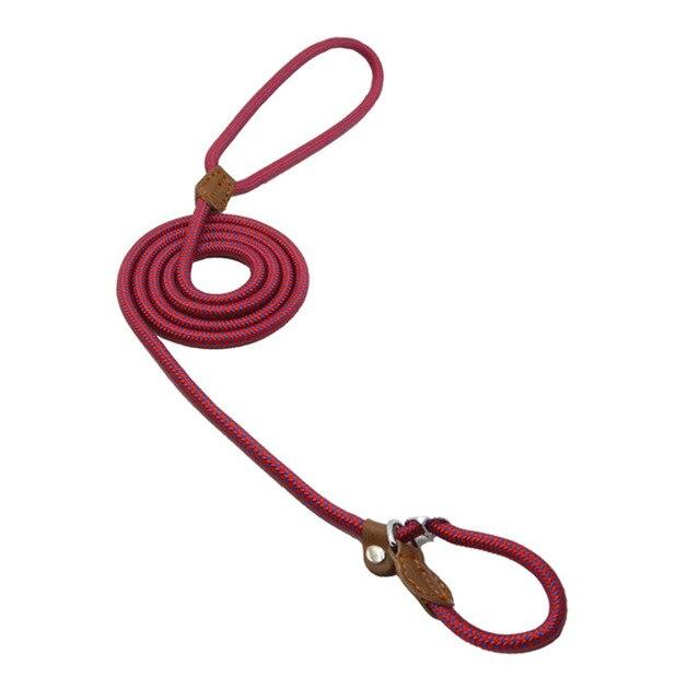 Nylon Dog Collar & Leash Set — Adjustable, Durable & Stylish for All Breeds
