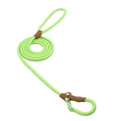 Nylon Dog Collar & Leash Set — Adjustable, Durable & Stylish for All Breeds