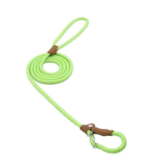 Nylon Dog Collar & Leash Set — Adjustable, Durable & Stylish for All Breeds
