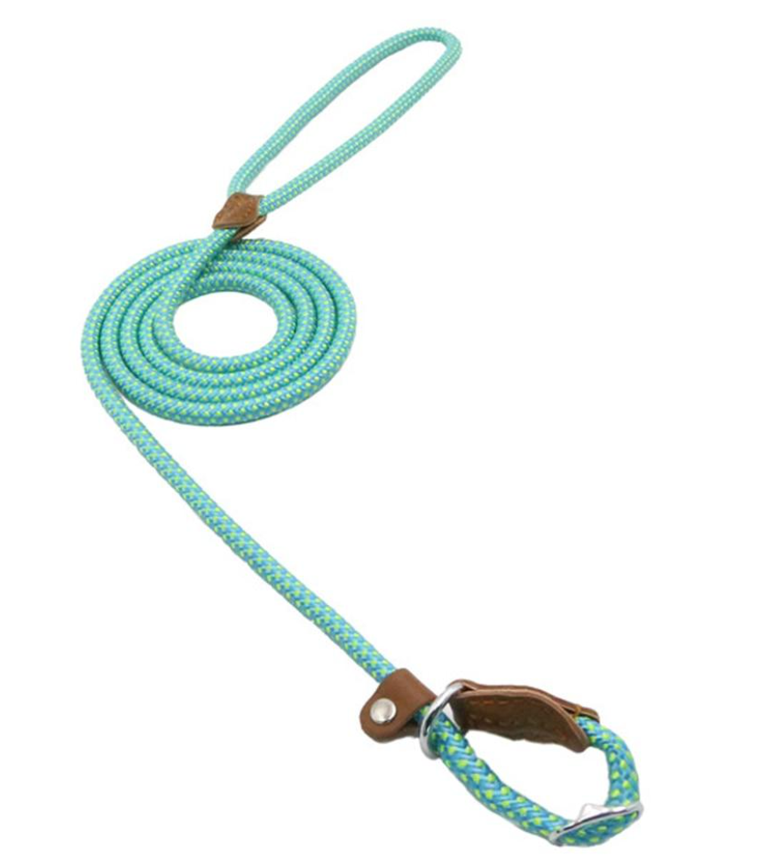 Nylon Dog Collar & Leash Set — Adjustable, Durable & Stylish for All Breeds