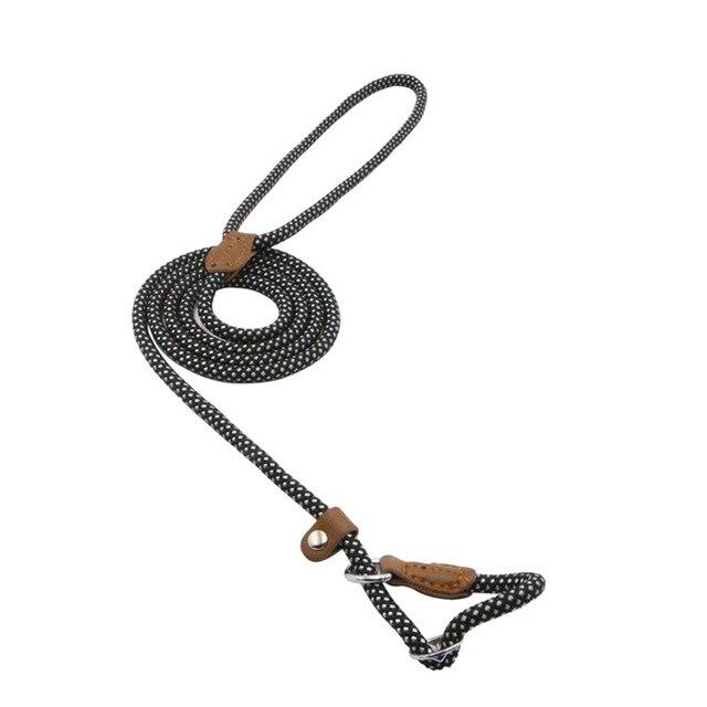 Nylon Dog Collar & Leash Set — Adjustable, Durable & Stylish for All Breeds