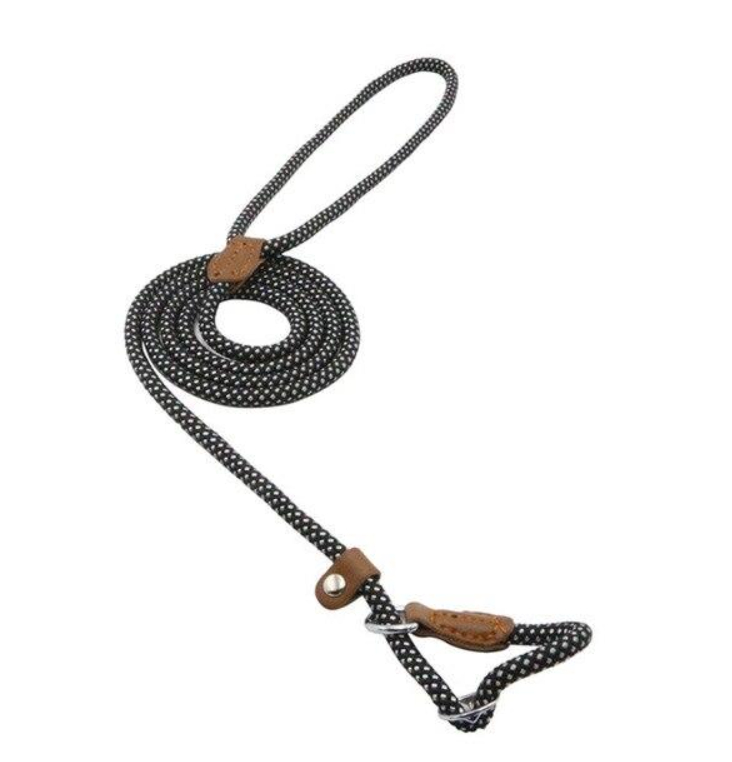Nylon Dog Collar & Leash Set — Adjustable, Durable & Stylish for All Breeds