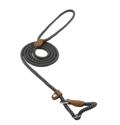 Nylon Dog Collar & Leash Set — Adjustable, Durable & Stylish for All Breeds