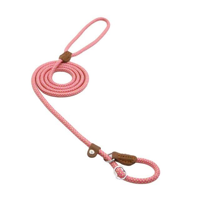 Nylon Dog Collar & Leash Set — Adjustable, Durable & Stylish for All Breeds