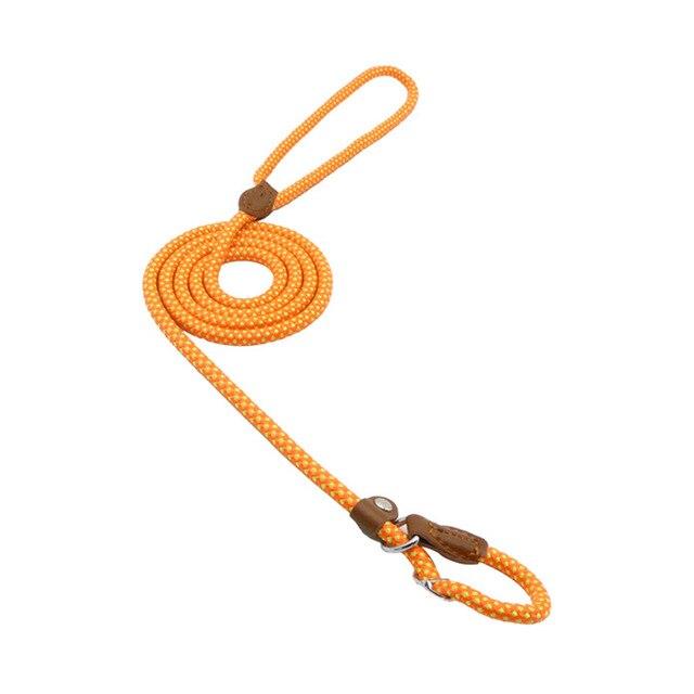Nylon Dog Collar & Leash Set — Adjustable, Durable & Stylish for All Breeds