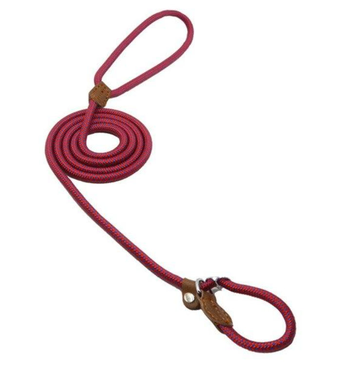 Nylon Dog Collar & Leash Set — Adjustable, Durable & Stylish for All Breeds