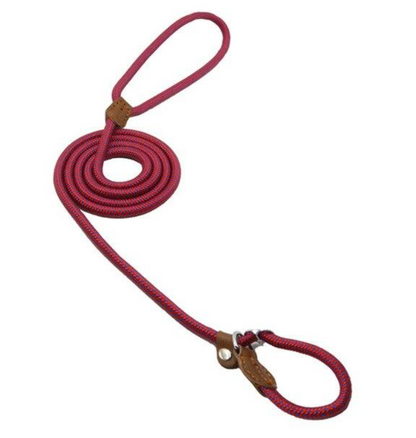 Nylon Dog Collar & Leash Set — Adjustable, Durable & Stylish for All Breeds