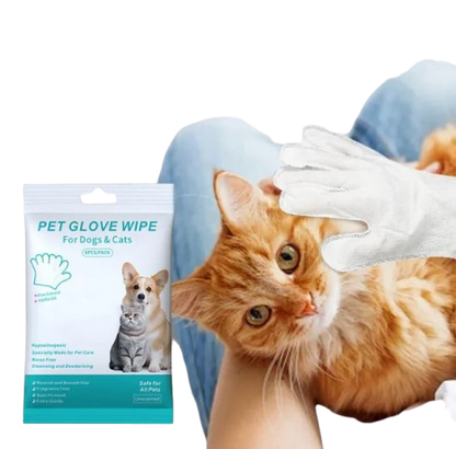 Pet Cleaning Gloves & Wipes — Gentle Daily Hygiene for Dogs & Cats