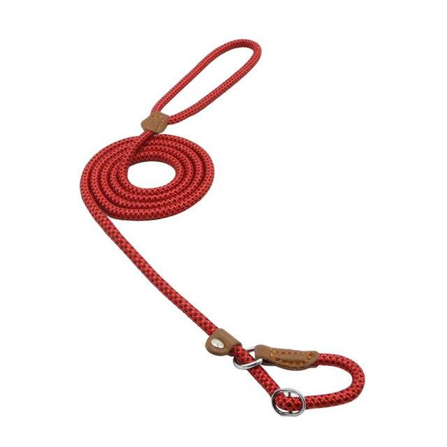Nylon Dog Collar & Leash Set — Adjustable, Durable & Stylish for All Breeds