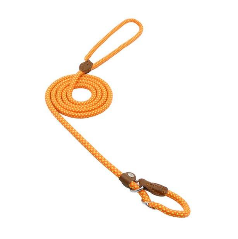 Nylon Dog Collar & Leash Set — Adjustable, Durable & Stylish for All Breeds