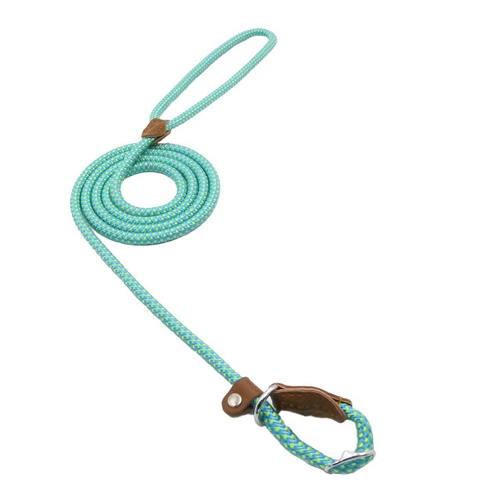 Nylon Dog Collar & Leash Set — Adjustable, Durable & Stylish for All Breeds