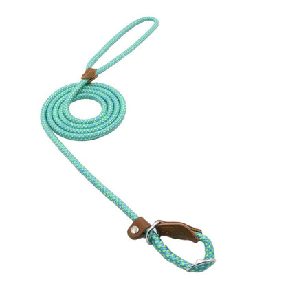 Nylon Dog Collar & Leash Set — Adjustable, Durable & Stylish for All Breeds