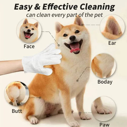 Pet Cleaning Gloves & Wipes — Gentle Daily Hygiene for Dogs & Cats
